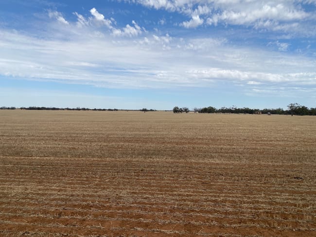 - Henty Highway Hopetoun VIC 3396 - Henty Highway Hopetoun VIC 3396