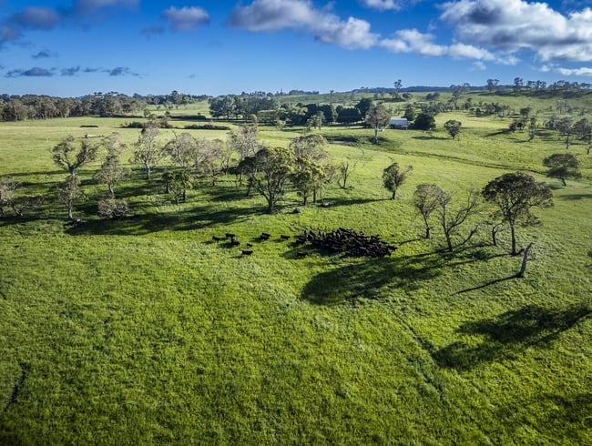 8691 Waterfall Way Road Ebor NSW 2453 8691 Waterfall Way Road Ebor NSW 2453