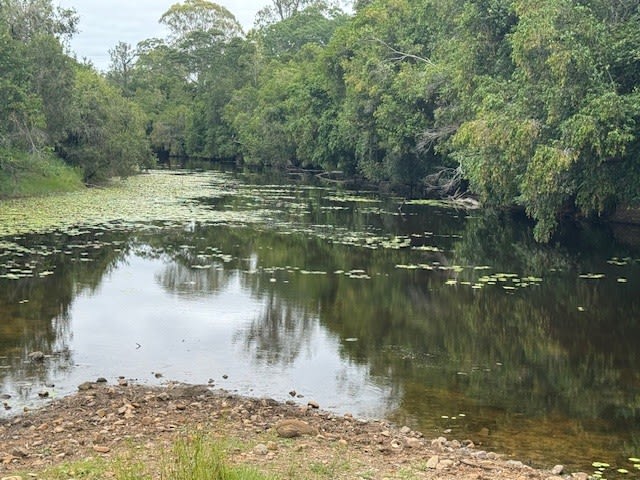 142 PERRY RIVER FARMS RD Morganville QLD 4671 142 PERRY RIVER FARMS RD Morganville QLD 4671