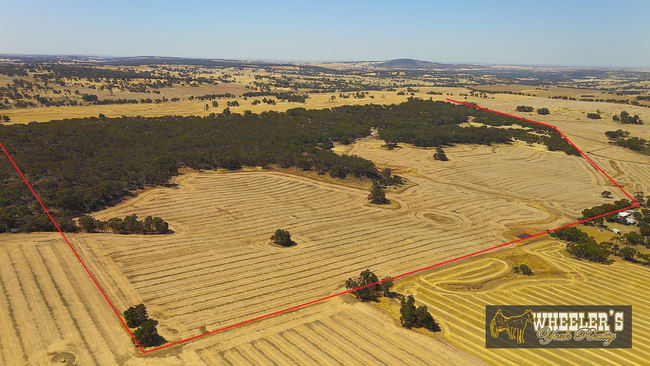 York WA 6302 York WA 6302