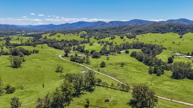 55 Argues Rd Upper Taylors Arm NSW 2447