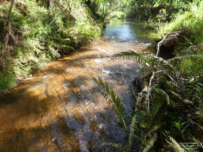 L 18 Camarlinghi Road Daradgee QLD 4860 L 18 Camarlinghi Road Daradgee QLD 4860
