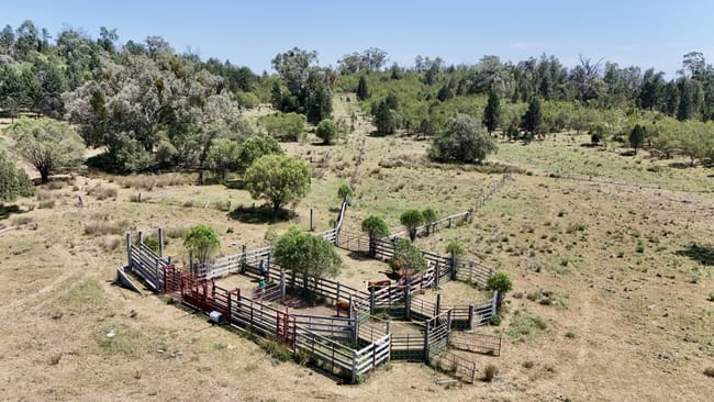 957 Killarney Gap Road Bingara NSW 2404 957 Killarney Gap Road Bingara NSW 2404