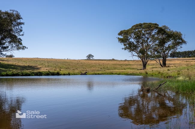 90 Convent Lane Borenore NSW 2800