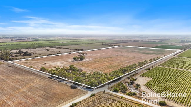 A107 Ballandown Road Langhorne Creek SA 5255