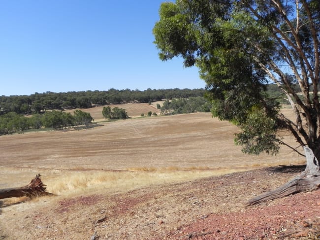 3145 Bindoon-Dewars Pool Road Bindoon WA 6502 3145 Bindoon-Dewars Pool Road Bindoon WA 6502