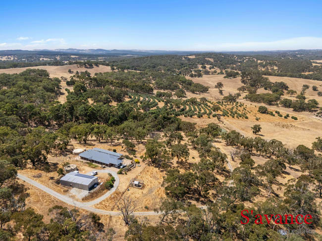 203B Quinns Road Forreston SA 5233
