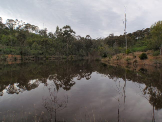 Mount Binga QLD 4314 Mount Binga QLD 4314