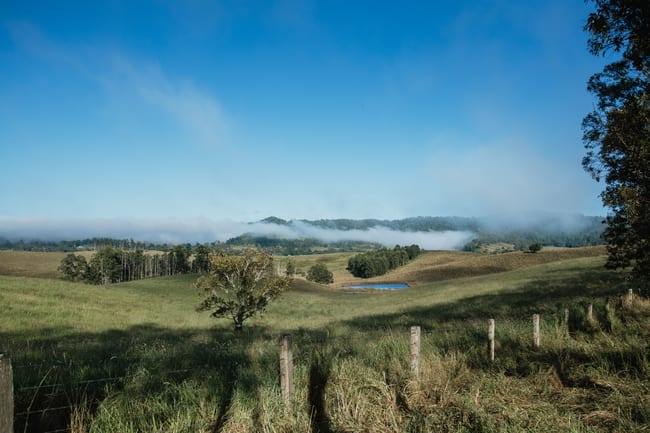 Lynches Creek Road Wiangaree NSW 2474