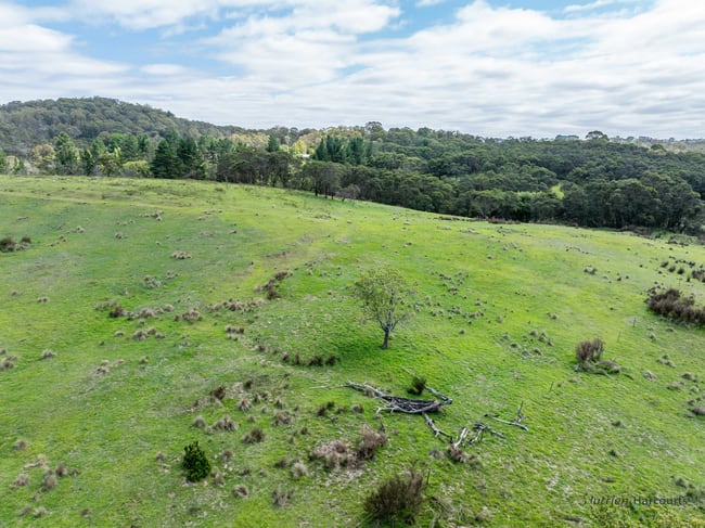 1130 Majors Creek Road Majors Creek NSW 2622 1130 Majors Creek Road Majors Creek NSW 2622