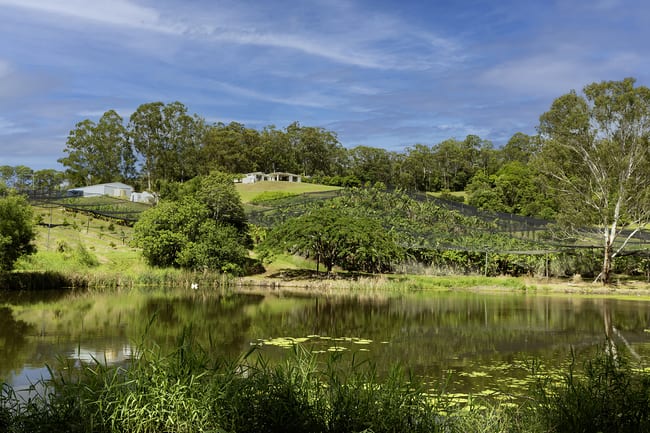 654 Blackall Range Road West Woombye QLD 4559 654 Blackall Range Road West Woombye QLD 4559