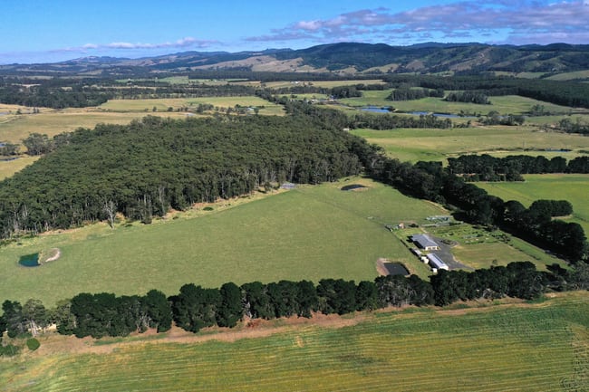 1143 Hedley Range Road Binginwarri VIC 3966 1143 Hedley Range Road Binginwarri VIC 3966