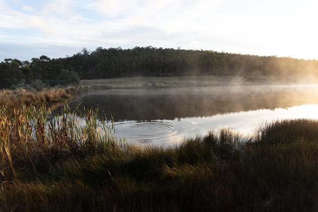 2413 Nugent Road Buckland TAS 7190