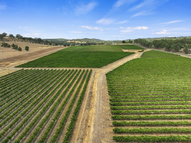 285 Neagles Rock Road Clare SA 5453 285 Neagles Rock Road Clare SA 5453