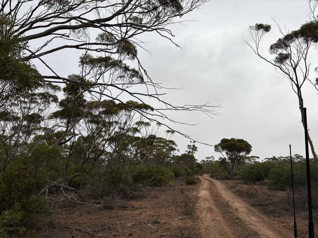 Lot 104 Cant Road Kimba SA 5641