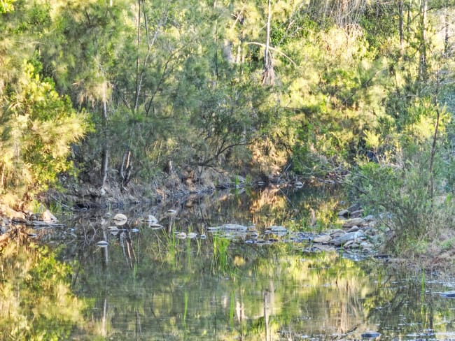 1198 Kavanaghs Road Buaraba QLD 4311