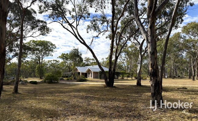 1363 Howell Road Howell NSW 2360