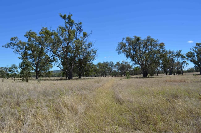 247 Uandi Road Inglewood QLD 4387 247 Uandi Road Inglewood QLD 4387