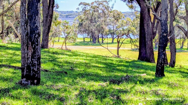 Lot 52 & 53 Cowalla Road, Cowalla Gingin WA 6503 Lot 52 & 53 Cowalla Road, Cowalla Gingin WA 6503