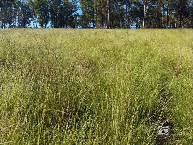 “Gedley et. al.” West Boondooma Road Durong QLD 4610 “Gedley et. al.” West Boondooma Road Durong QLD 4610