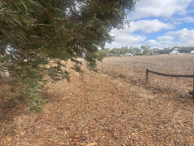 Lot 9678 Geraldton Mount Magnet Road Wicherina WA 6532 Lot 9678 Geraldton Mount Magnet Road Wicherina WA 6532