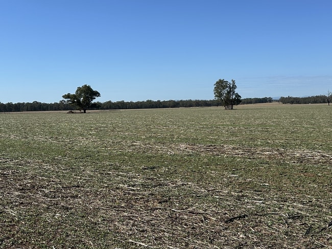 . Lilydale Road Balldale NSW 2646 . Lilydale Road Balldale NSW 2646