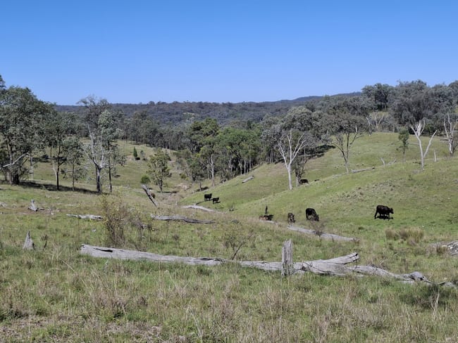 Lot 14 Silver Spur Redgate Road Silver Spur QLD 4385 Lot 14 Silver Spur Redgate Road Silver Spur QLD 4385