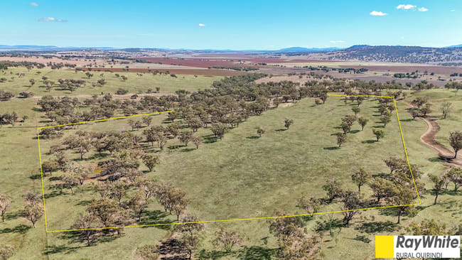 981 Merriwa Road, WARRAH Willow Tree NSW 2339