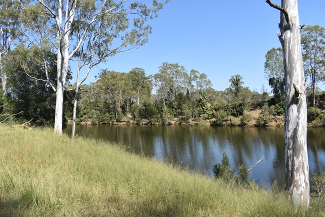 lot 103 Pidgeons Road Tiaro QLD 4650 lot 103 Pidgeons Road Tiaro QLD 4650