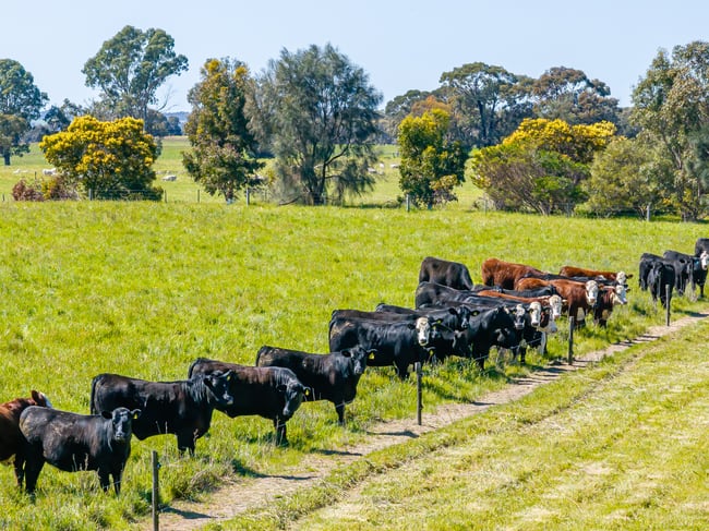 3258 Riddoch Highway Willalooka SA 5267 3258 Riddoch Highway Willalooka SA 5267