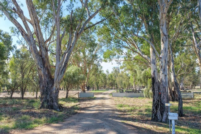 465 East Barham Road Barham NSW 2732