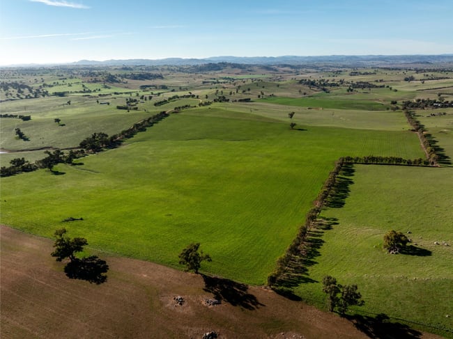 478 Illawong Road Jugiong NSW 2726 478 Illawong Road Jugiong NSW 2726