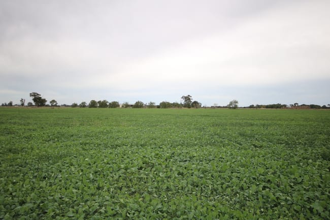 34 Stone Lane Rochester VIC 3561 34 Stone Lane Rochester VIC 3561