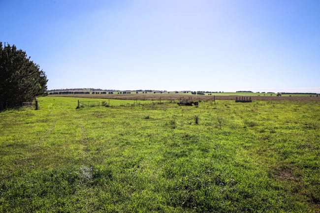 1790 Braidwood Road Tarago NSW 2580 1790 Braidwood Road Tarago NSW 2580