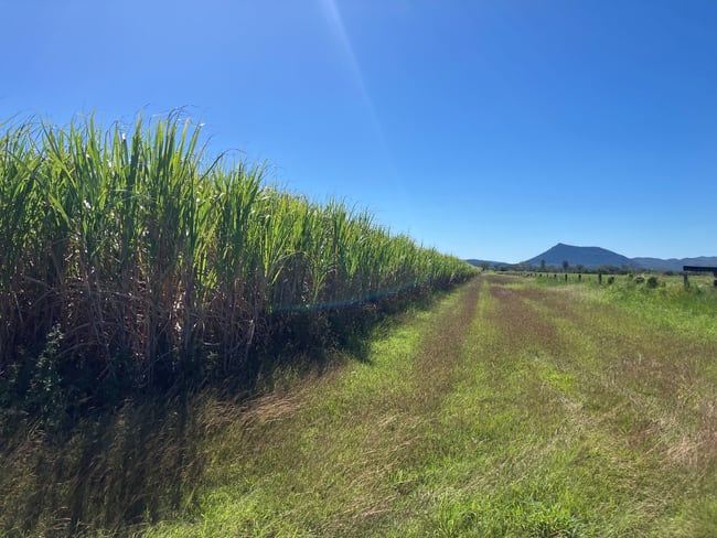 Glen Isla Road Glen Isla QLD 4800 Glen Isla Road Glen Isla QLD 4800