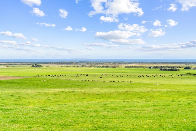 392 Lady Barron Road Ranga TAS 7255