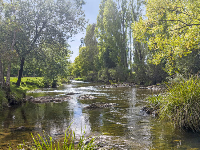 443 Howes Creek-Goughs Bay Road Goughs Bay VIC 3723 443 Howes Creek-Goughs Bay Road Goughs Bay VIC 3723