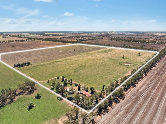 80 Derricks Road Temora NSW 2666