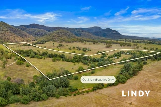 1 Doyles Creek Road Doyles Creek NSW 2330