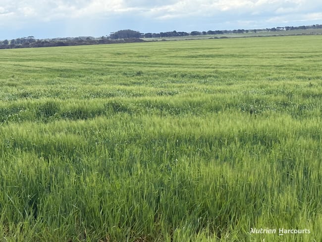 Lot 12 Bates Road Monjingup WA 6450