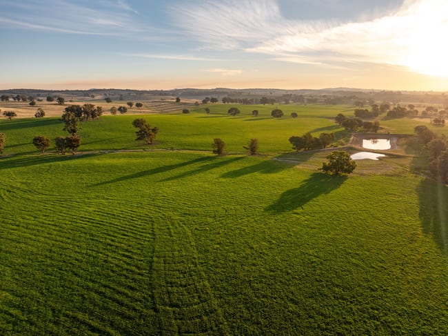 3376 Holbrook Road Mangoplah NSW 2652 3376 Holbrook Road Mangoplah NSW 2652