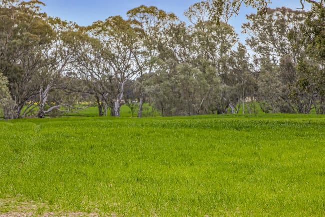 Lot 2 PS719922/441 Frenchmans - St Arnaud Road Barkly VIC 3384
