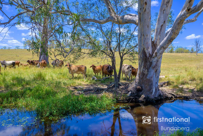1/ Stebhens Road Bungadoo QLD 4671