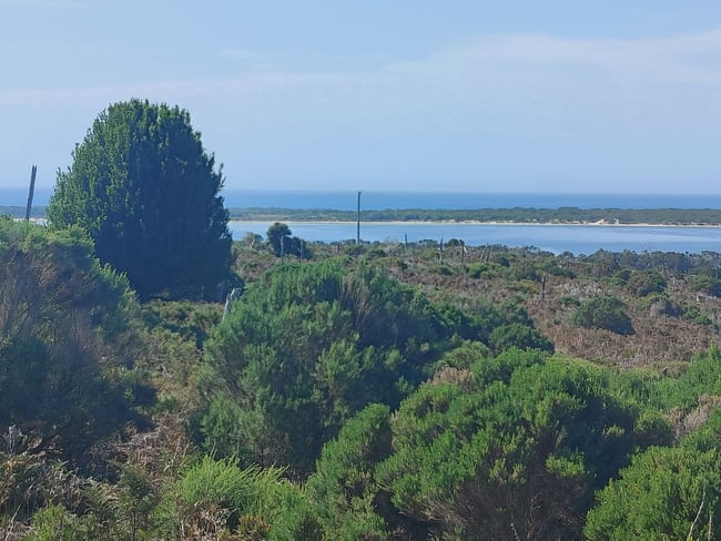 Lot 2 North East River Road Palana TAS 7255 Lot 2 North East River Road Palana TAS 7255