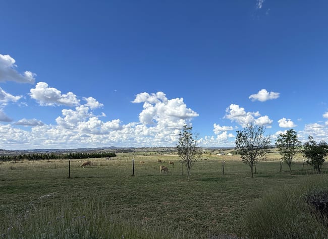 6 O'Hurley Drive Yass NSW 2582