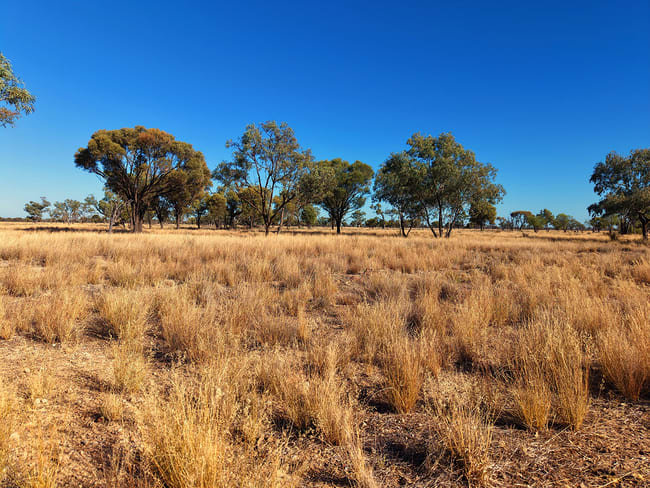 Bundaleer South Plains Road Cunnamulla QLD 4490 Bundaleer South Plains Road Cunnamulla QLD 4490
