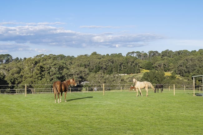 227 Main Creek Road Main Ridge VIC 3928 227 Main Creek Road Main Ridge VIC 3928