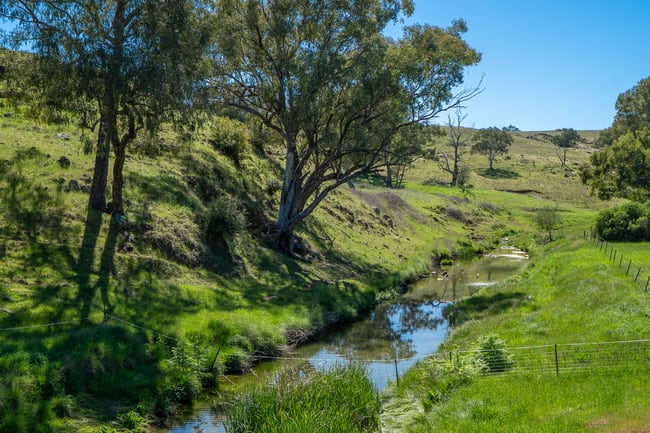 1097 Davys Plains Road Cudal NSW 2864
