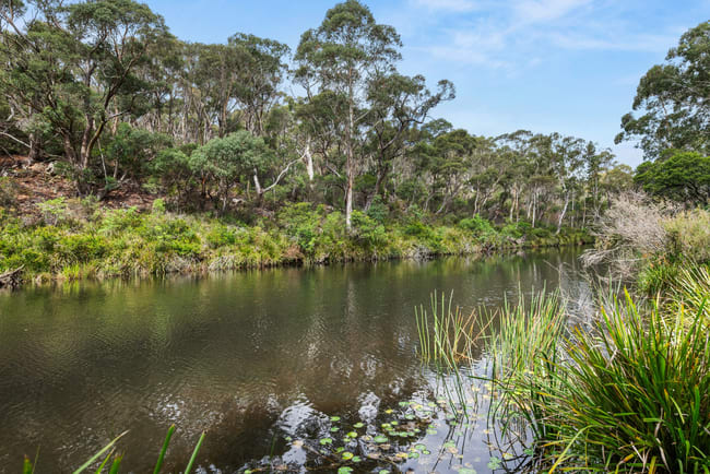 147 Webbs Road Braidwood NSW 2622