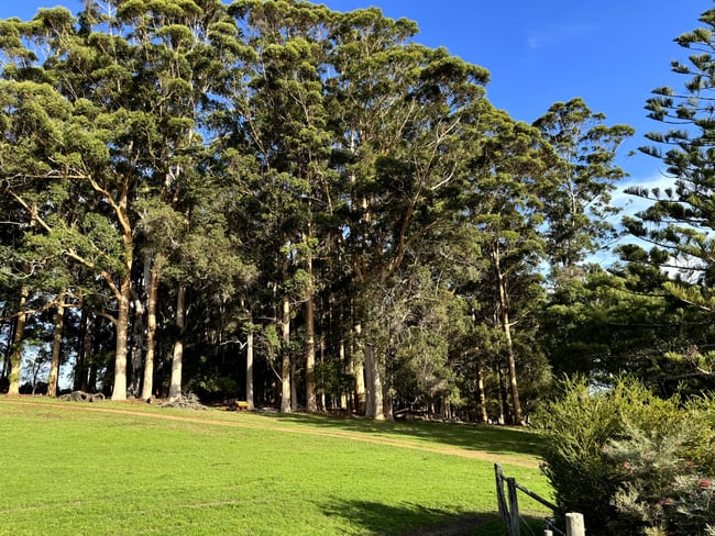 164 Lane Poole Road (Boorara Brook) Northcliffe WA 6262 164 Lane Poole Road (Boorara Brook) Northcliffe WA 6262